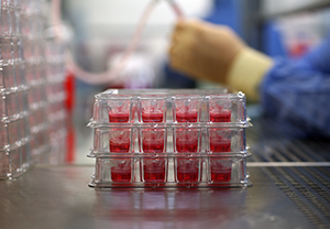 EPISKIN 3D models industrialization