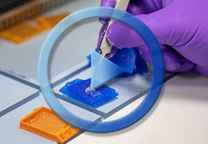 Eye irritation replay