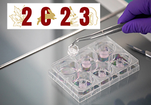 12th World Congress on Alternatives