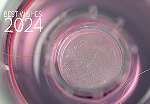 New Year 2024