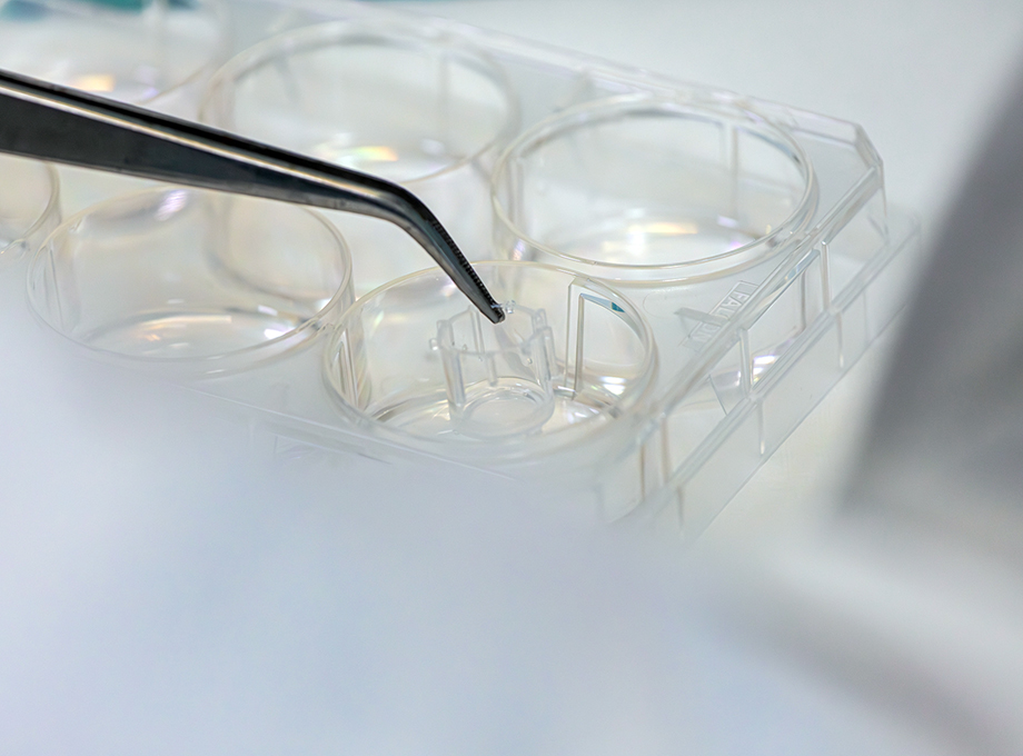 Scientific articles on SkinEthic HVE