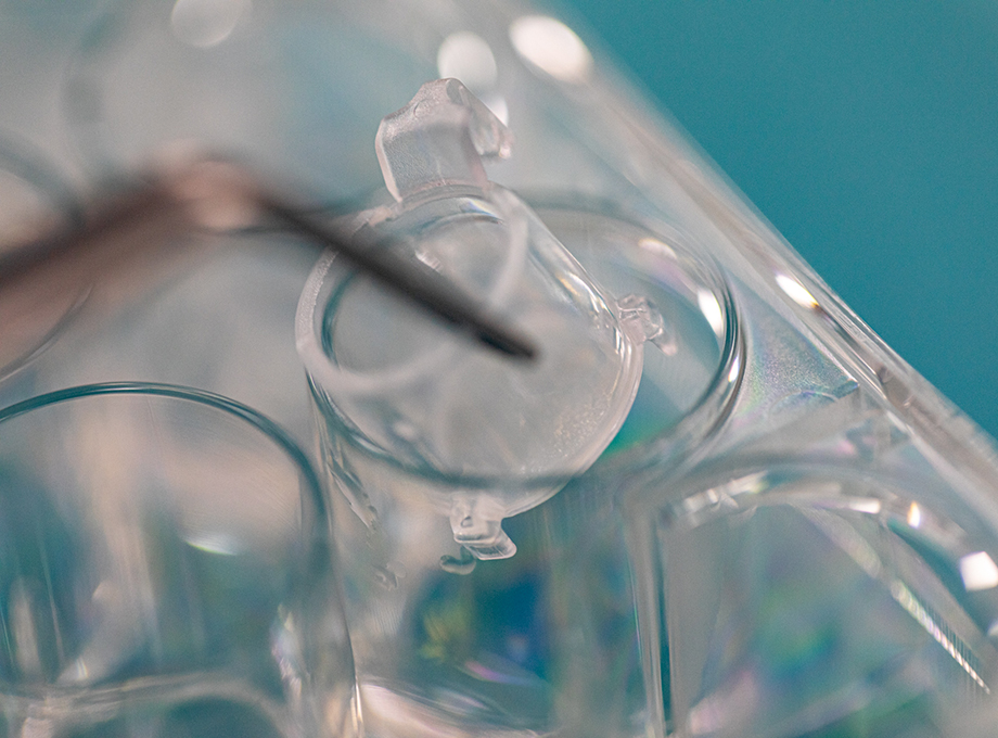 Training session on SkinEthic RHE