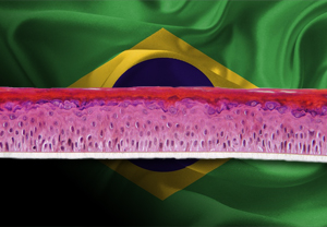 SkinEthic RHE accpeted in Brazil by OECD