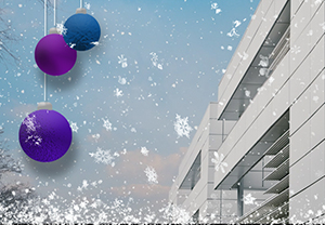 Happy Holiday Season