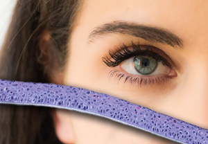 OECD TG 492 Eye irritation