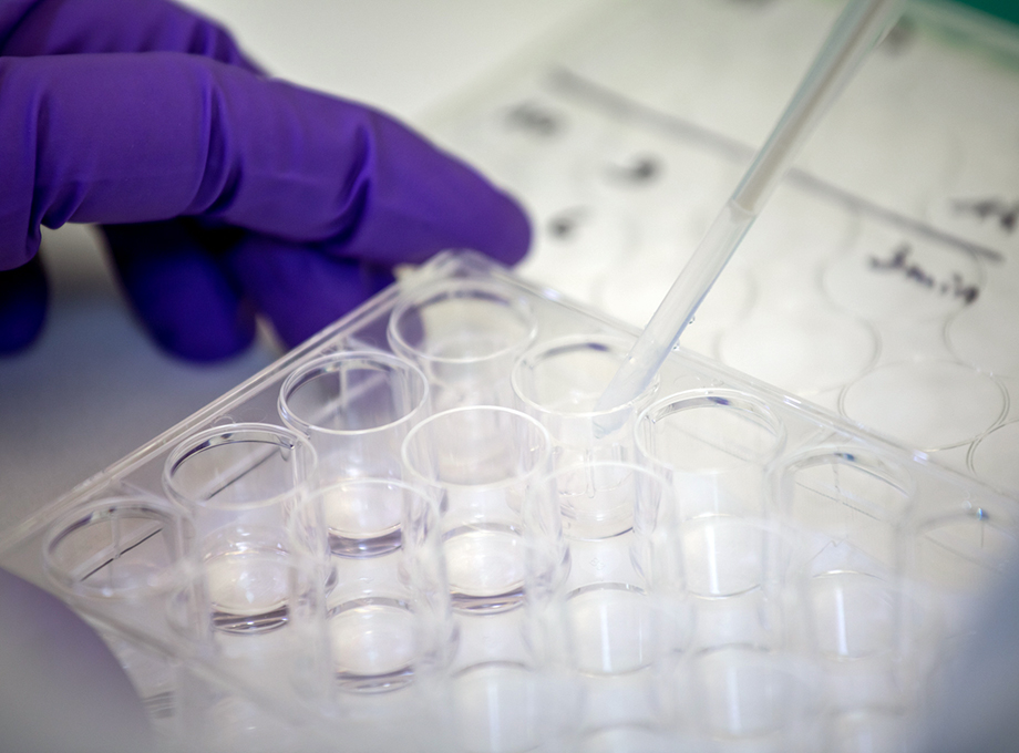 Eye Irritation Time To Toxicity