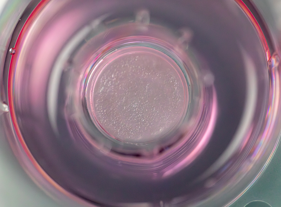 Skin Immune Response