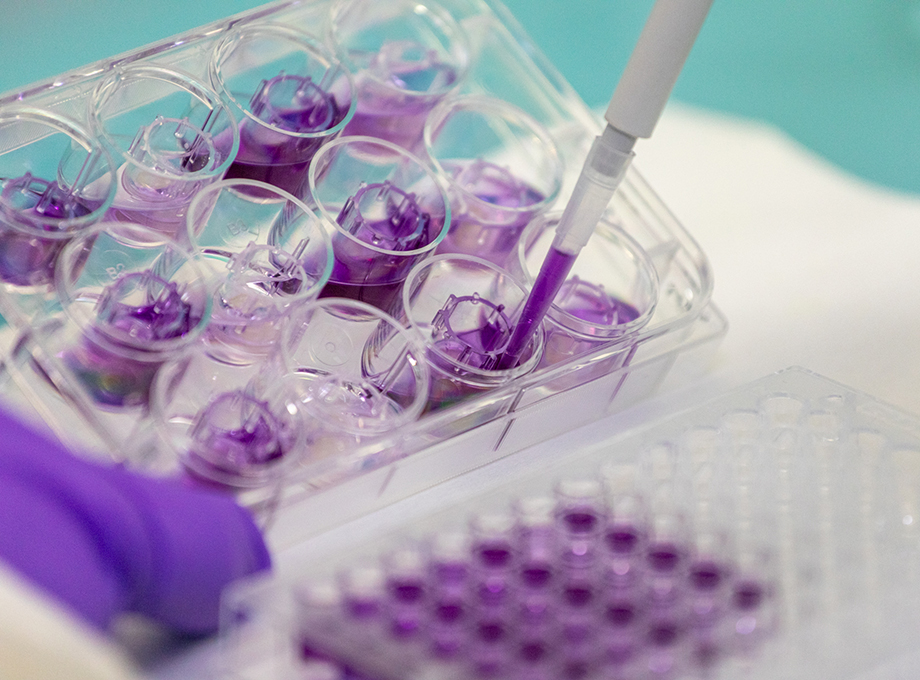 Skin Irritation Medical Devices