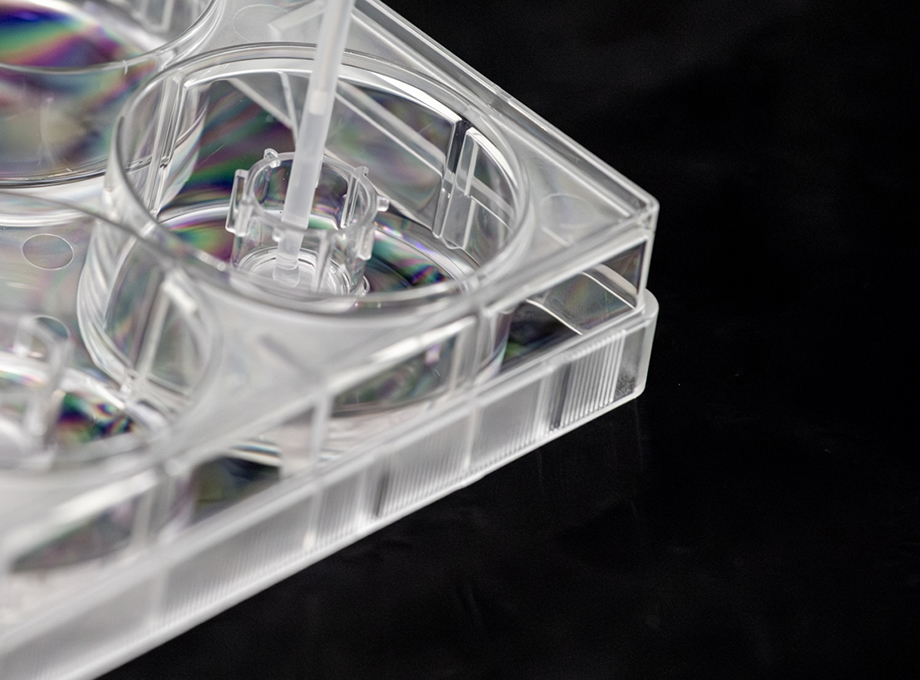 SkinEthic Human Corneal Epithelium HCE