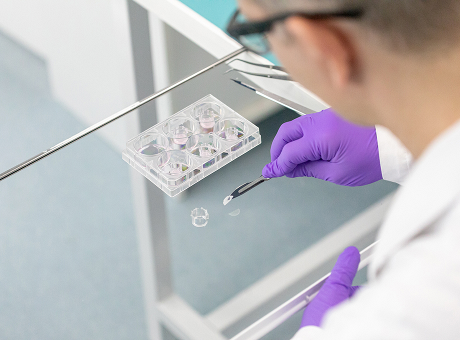 Training Session Form