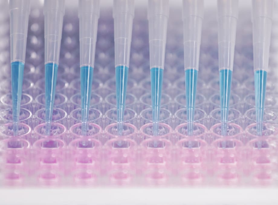 In Vitro Test Approach