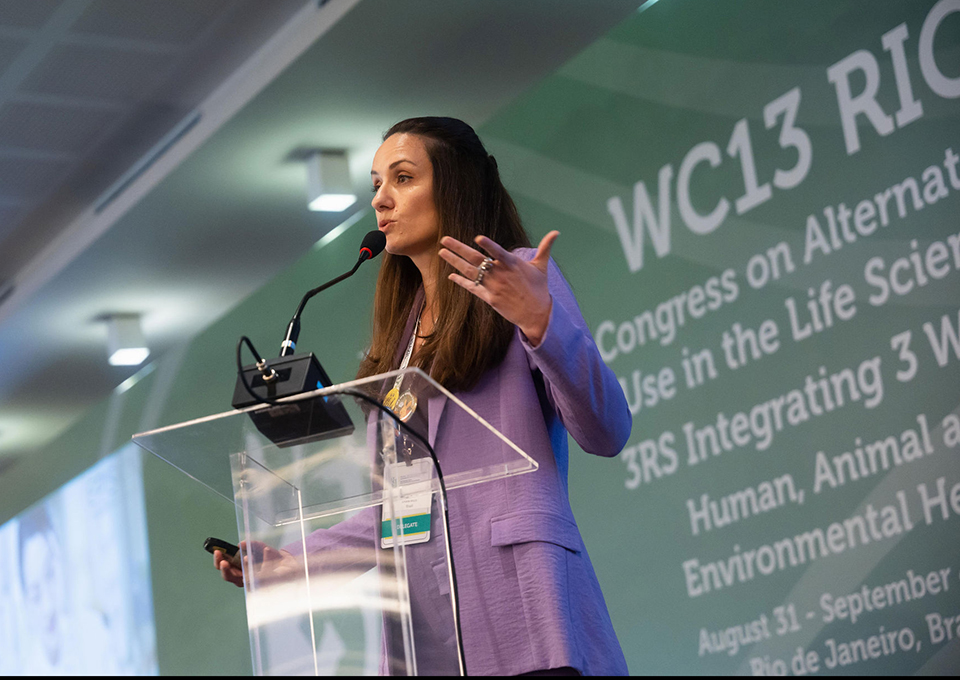 Vanja Dakic - EPISKIN - WC13