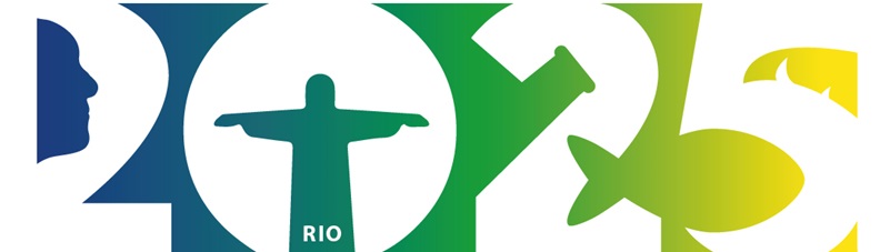 WC13 Banner