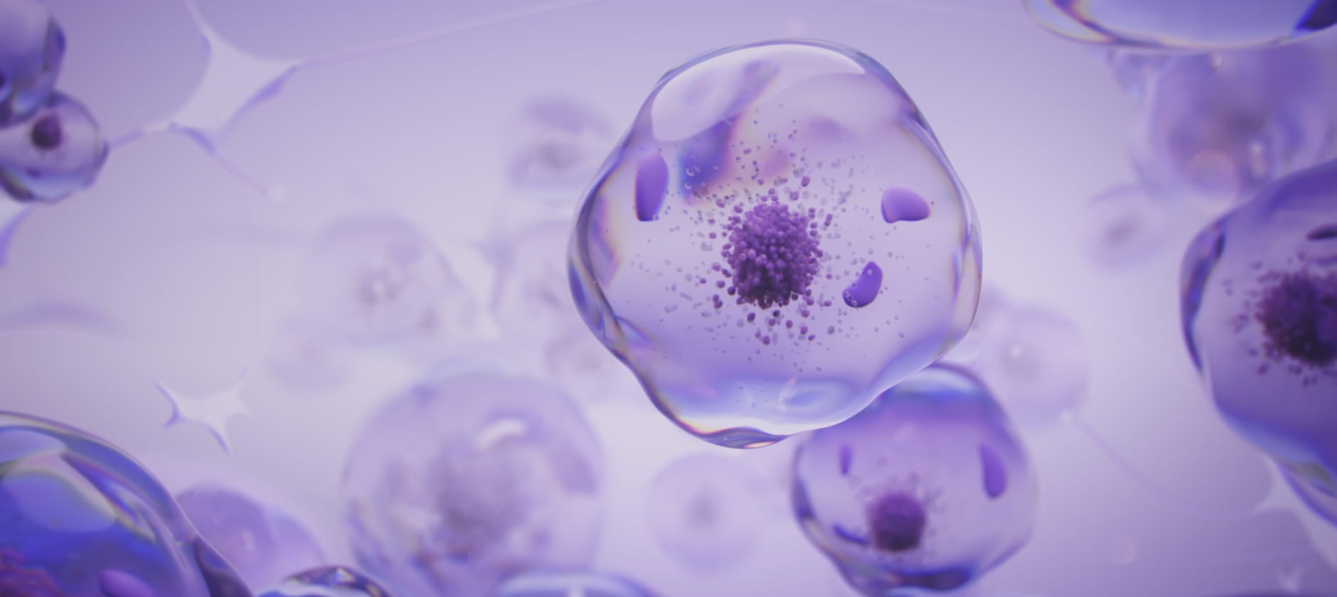 Episkin Rhe Episkin - World pioneer in tissue engineering for in vitro human skin ...